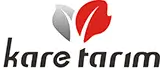 Kare-tarim