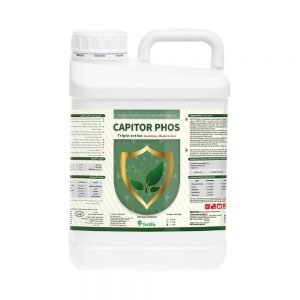 كابيتور فوس