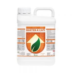 ماستر كي كابي