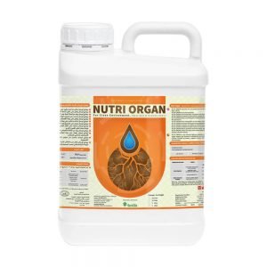 نيوتري أورجان