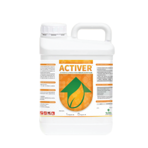 أكتيفير