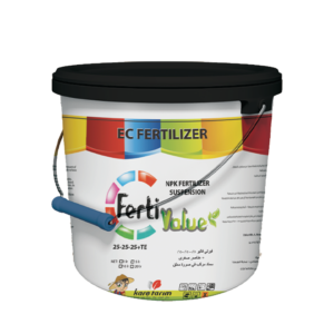 فيرتي فاليو 25-25-25