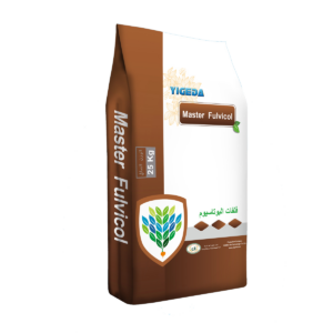 ماستر فالفيكول