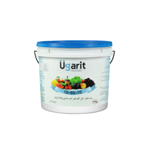 أوغاريت 10-65-10