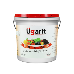 أوغاريت 0-5-65