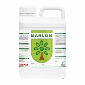 أمينو مارلون